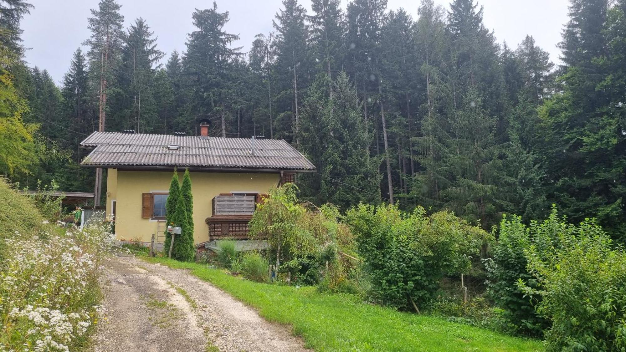Fridas Place - Der Blick Ueber Ganz Villach - 160 M2 Ferienoase - Ganzes Haus Bis Zu 8 Personen Экстерьер фото